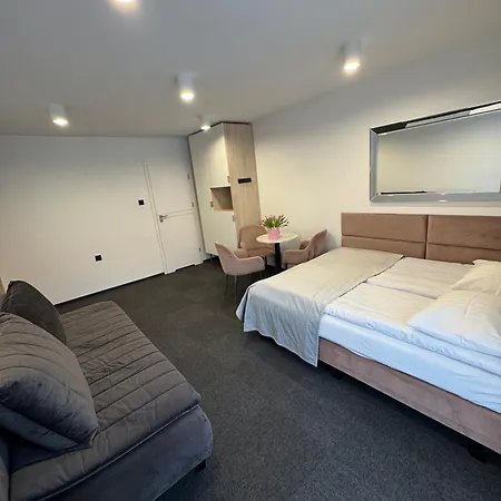 Guest house Viola *