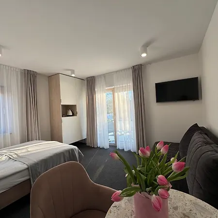 Viola Guest house *